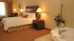 维克多维尔维克多维尔希尔顿花园旅馆的酒店客房配有一张床和浴缸。