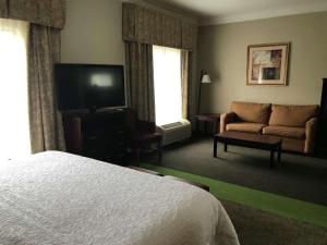 维代利亚维达利亚汉普顿酒店的酒店客房配有床、沙发和电视。