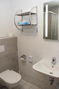 哥达纳赫巴尔德尔克莱恩膳食公寓酒店的浴室配有白色卫生间和盥洗盆。