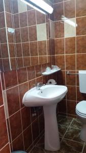 科斯蒂内什蒂弗伦姆酒店的浴室配有白色水槽和卫生间。