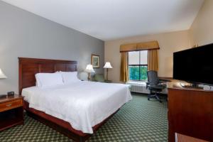 罗维莎Hampton Inn Lawrenceville Duluth的配有一张床和一台平面电视的酒店客房
