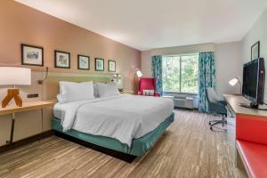 德卢斯亚特兰大东北/昆内特塔糖峰希尔顿花园酒店的酒店客房配有一张床、一张书桌和一台电视。