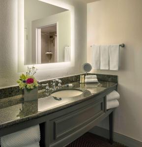 奥斯汀奥斯丁希尔顿逸林酒店的浴室配有盥洗盆、镜子和毛巾