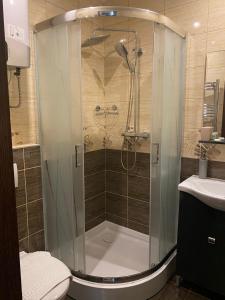 亚斯贝雷尼Blueline Motel的带淋浴、卫生间和盥洗盆的浴室