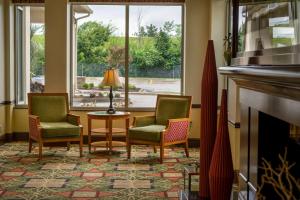 梅菲尔德东克利夫兰/梅菲尔德村希尔顿花园酒店的客厅配有三把椅子和壁炉
