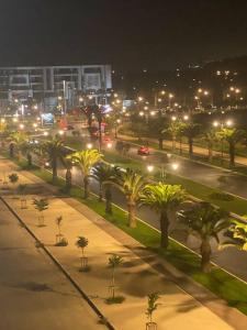 阿加迪尔Appartement Anir的棕榈树和街灯的夜街