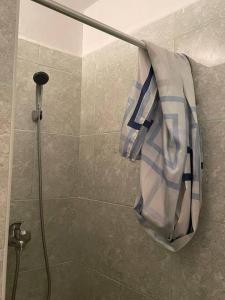 彼得罗瓦拉丁Vikendica S, Alibegovac的带淋浴和毛巾的浴室