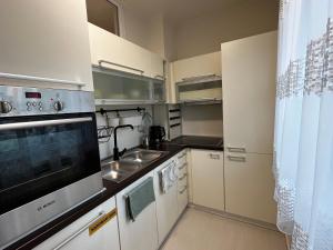 毛科Borisz Apartman的一间带水槽和微波炉的小厨房