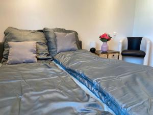 陶努斯山麓霍夫海姆Luxury apartment with air conditioning & Jaccuzzi near Frankfurt Wiesbaden的一张带灰色床单的床、一把椅子和一张桌子