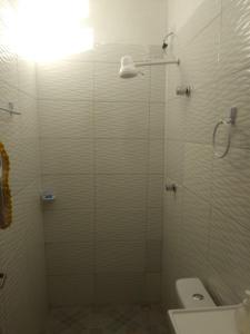 巴雷里尼亚斯POUSADA ROSA DOS LENÇÓIS的浴室设有玻璃淋浴间和卫生间