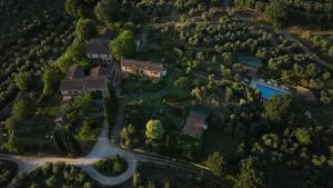 阿雷佐Il Palazzo - Agriturismo, Winery的森林中豪宅的空中景观
