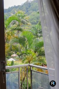 康提Royal Residency的从窗口欣赏棕榈树的景色