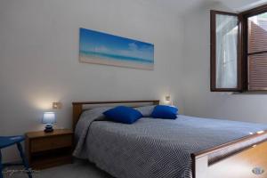 里奥内莱尔巴Cav la Ginestra vistamare Elba的一间卧室配有一张带蓝色枕头的床和一扇窗户。