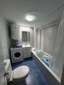 马德里La Chambre de Boris的一间带卫生间和洗衣机的浴室