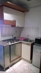 突尼斯哥扎娜公寓的小厨房配有炉灶和水槽