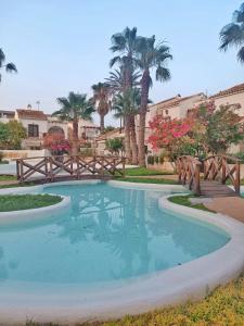 滨海罗克塔斯Apartamento Los Mangos的棕榈树庭院里的一个大型游泳池
