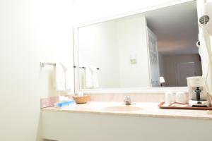 北斯托宁顿北斯托宁顿山顶套房酒店的一间带水槽和大镜子的浴室