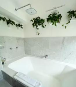 坎昆Beautiful Jungle House on a strategic location的浴室设有墙上的白色植物浴缸