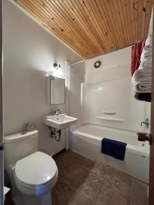 托菲诺海豚汽车旅馆的浴室配有白色卫生间和盥洗盆。