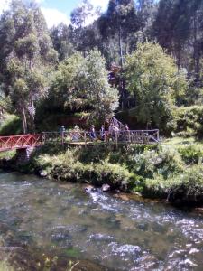 SicuaniCasa Turistica Las Tunas的一群人穿过一座河上的桥梁
