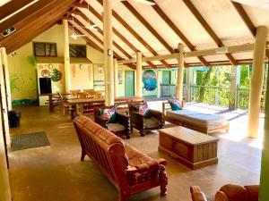 米申海滩Jackaroo Treehouse Rainforest Retreat的带沙发和桌子的大客厅