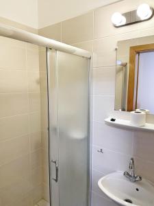 巴拉顿菲赖德苏兹萨潘兹欧酒店的带淋浴和盥洗盆的浴室