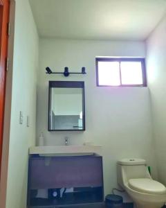 塔马林多Casa Mar de Sueños Tamarindo的一间带水槽、镜子和卫生间的浴室