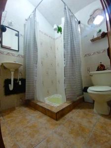 危地马拉安地瓜Casa Aguacate的带淋浴、卫生间和盥洗盆的浴室