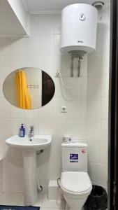 乔尔蓬阿塔Отель Евразия的一间带卫生间、水槽和镜子的浴室