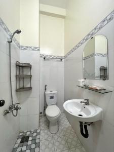 Ấp Lợi ÐủARYE guest house的一间带水槽、卫生间和镜子的浴室