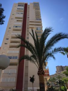 贝尼多姆Panorama Benidorm Torre Montecarlo的一座高大的建筑,前面有一棵棕榈树