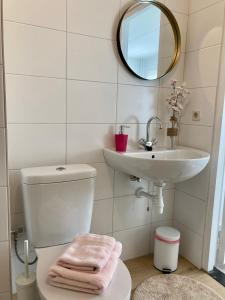 NijswillerBed & Stay Kersenbloesem的一间带水槽、卫生间和镜子的浴室