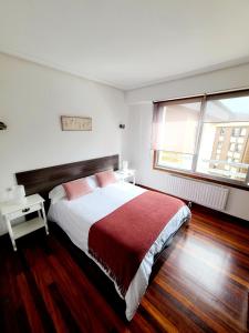 扎鲁亚斯Apartamento Pilartxo Zarautz的一间卧室设有一张大床和一个窗户。