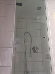 黑尔斯布鲁克Gasthof Hotel Bauer的浴室内配有淋浴和头顶淋浴