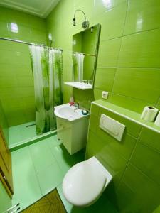 库伦瓦库夫Unaqua Apartments的绿色浴室设有卫生间和水槽