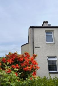 亚历山德里亚Loch Lomond Apartment的建筑前有红色花的建筑