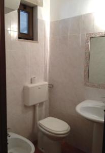 巴列塔特努特圣弗朗西斯科酒店的一间带卫生间、水槽和镜子的浴室