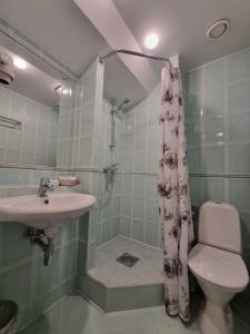 塔林Taanilinna Hotell的一间带水槽、卫生间和淋浴的浴室