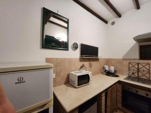 锡耶纳Casa cecchi siena的厨房配有微波炉,位于柜台上