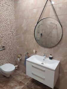 帕兰加Sweet villa Palanga的一间带水槽、卫生间和镜子的浴室