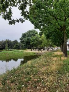 托尔恩B&B De Goede Tijd的树木和水体的公园
