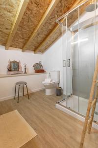 里奥马约尔Pátio Serrano的一间带玻璃淋浴和卫生间的浴室