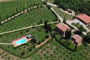 蒙特普齐亚诺Villa Chiccheio Rooms的享有带游泳池的庄园的空中景致
