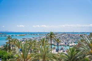 阿尔库迪亚Ideal Property Mallorca - Blue Sky的水中和棕榈树上带船的港口