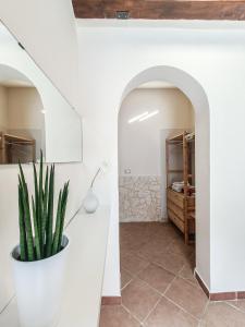 维耶斯泰Il Giunco B&B的白色走廊,盆里种植植物
