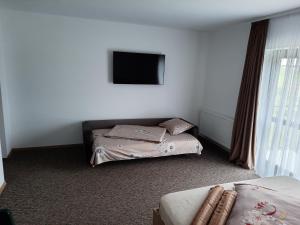 百乐费利克斯king的一间卧室配有两张床和一台平面电视