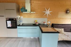 Le MontatTiny House sud du Lot的厨房配有蓝白色橱柜和水槽