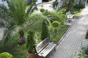 乌雷基National+的种有棕榈树和植物的花园中的长凳