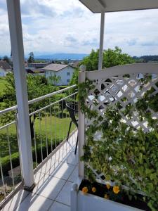 赫尔布兰茨Gästezimmer Suppan的阳台,阳台上摆放着长凳和植物