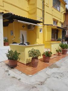 皮昂比诺Casa vicino al mare的前面有盆栽植物的黄色建筑